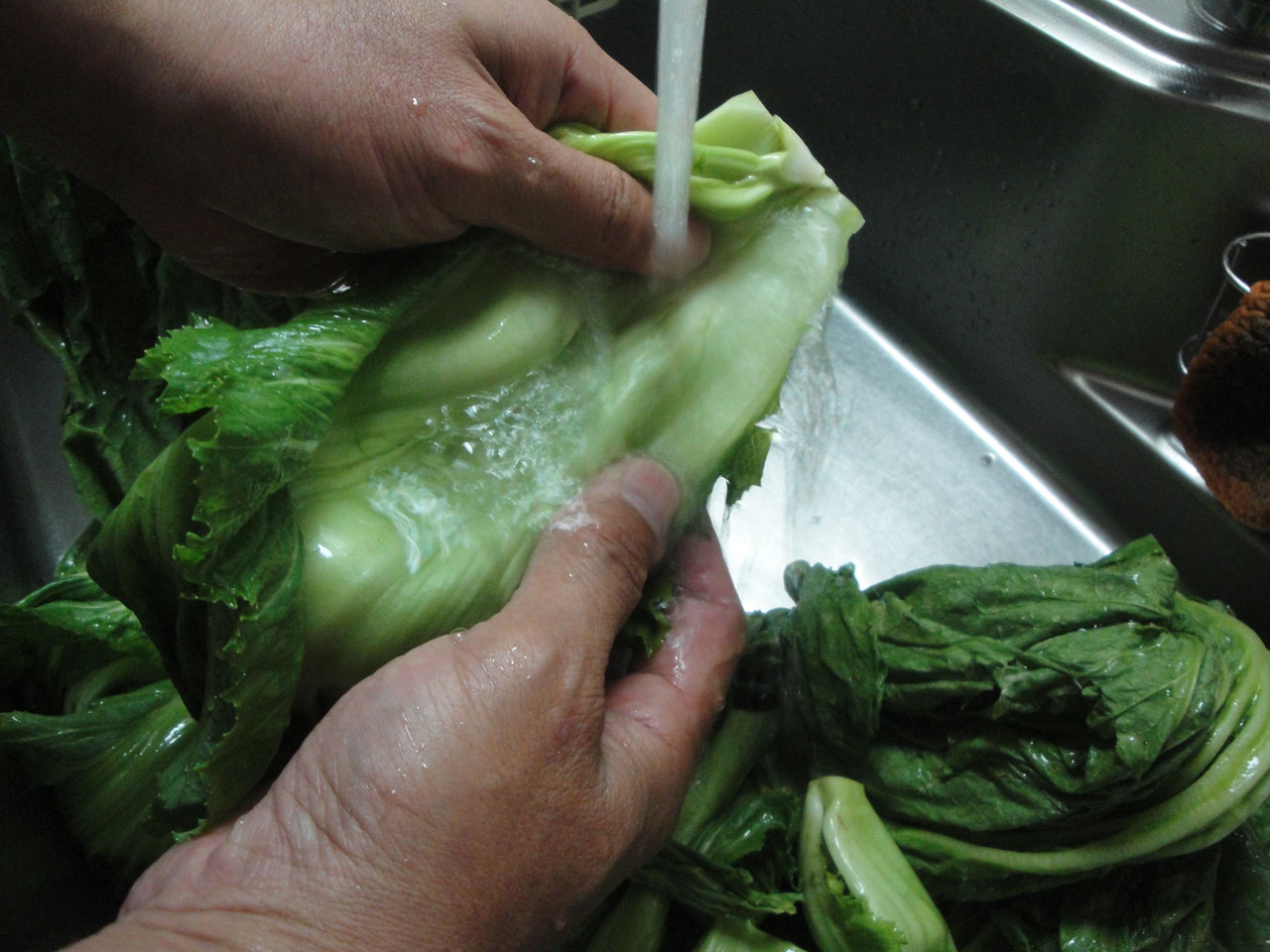 青菜をよく洗い水気をしっかり切ります